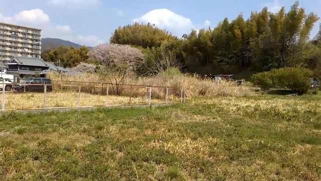 C-me 初飛行 (Flying Camera With GPS System)