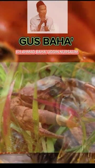 4fc6a79173dd32d13851dedad63492c9