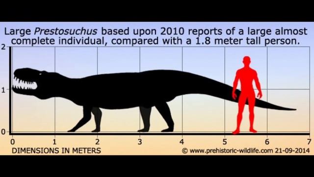 PRESTOSUCHUS TERROR DO TRIASSICO