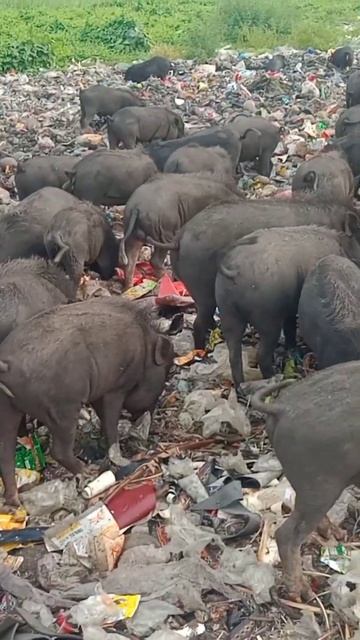 3709a6d214554ef677e12ae94b80e14f