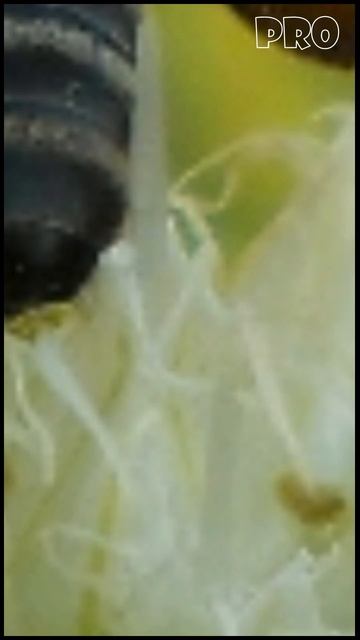 F5bedbb58960054e13d67c8e2f7856ef