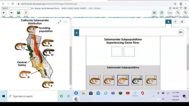 2018 Salamander Problem