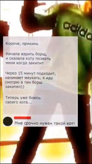 Кот и борщ😂