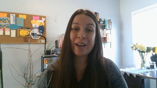 Vanessa Silva Elevator Pitch PM 526