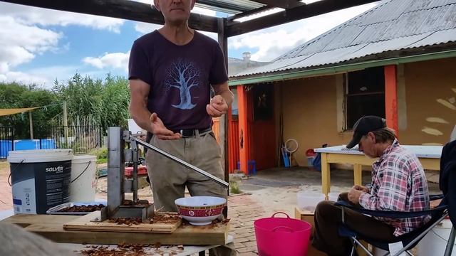 Sandalwood Nut Harvesting