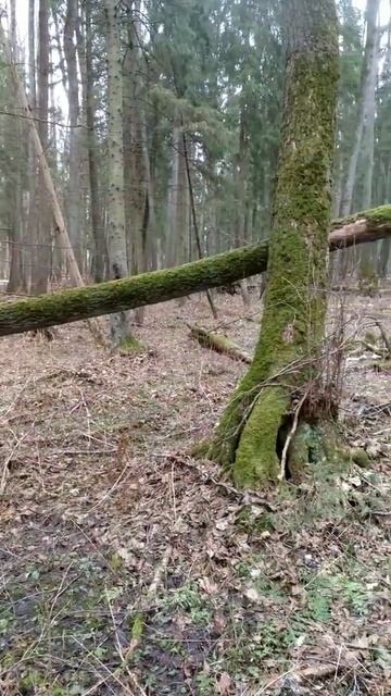 38b11485a8502c40f0c32c5851602e63