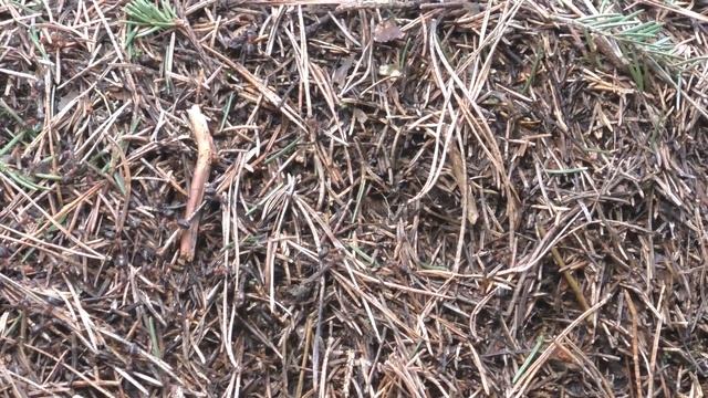 045545914bf13fd6da386c51fd59377c