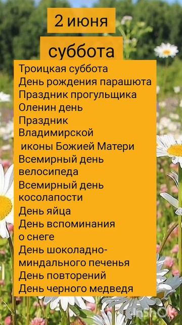 #доброеутро #настроениедня #счастьерядом #праздниккаждыйдень