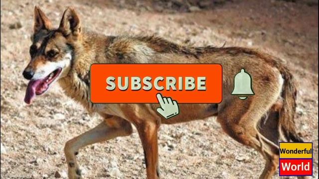 45d1984d5f43b82d32733557049eebd1