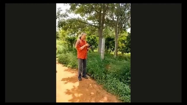 Butterfly Count Walk By Krushnamegh Kunte