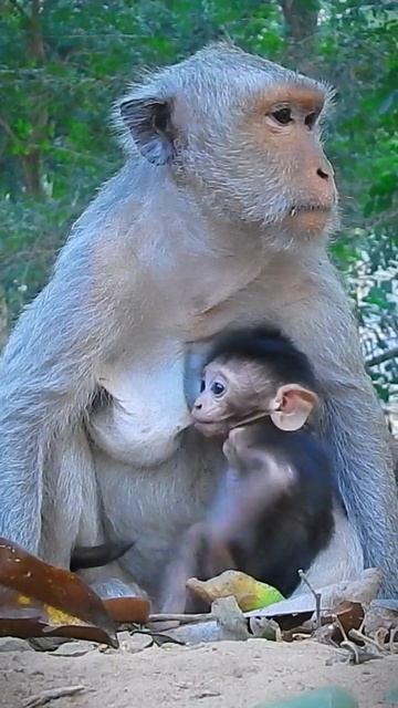 B9497d38806e7f35363411f7ad698989