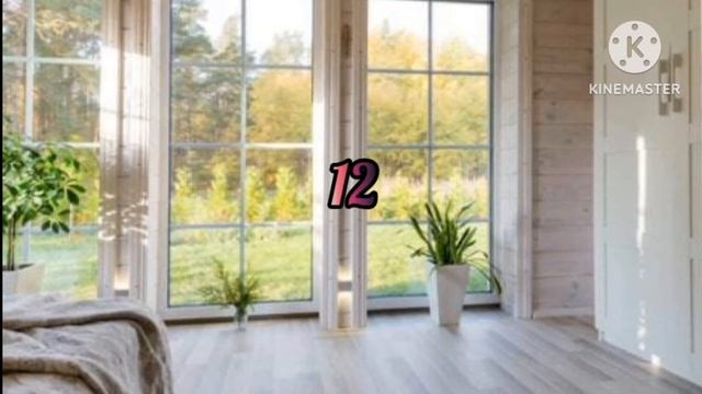 25 Snake Plant Decoration Ideas/ Arrangement Ideas @ All Season Gardening.