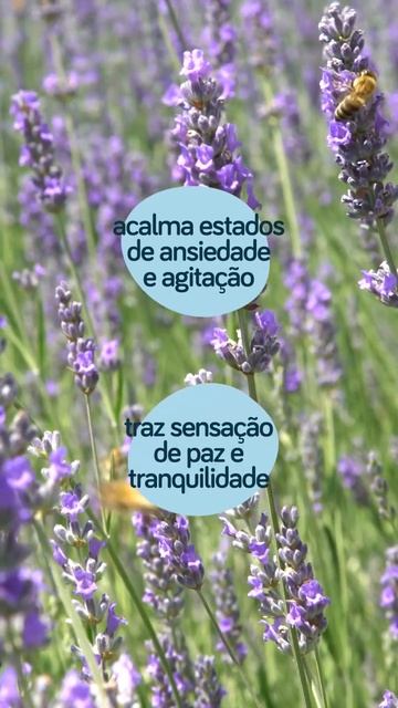 Como Fazer O Bebê Dormir A Noite Toda?