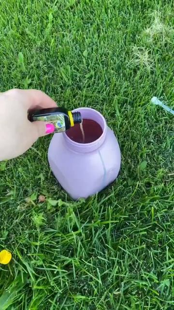 ПАУТИННЫЙ КЛЕЩ! КАК БОРОТЬСЯ В СЕЗОН СБОРА УРОЖАЯ?