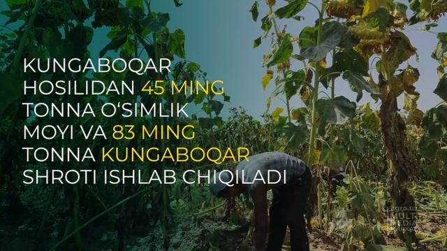 F5acc2f5c3a7e4a7e99abad1b4ff3745