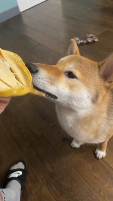 15992a7820f7bd9d5ced32343814c9c6