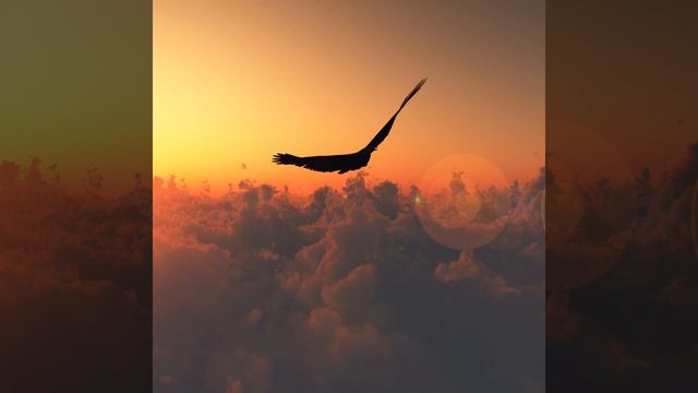 Nyama Da Ti Se Molya