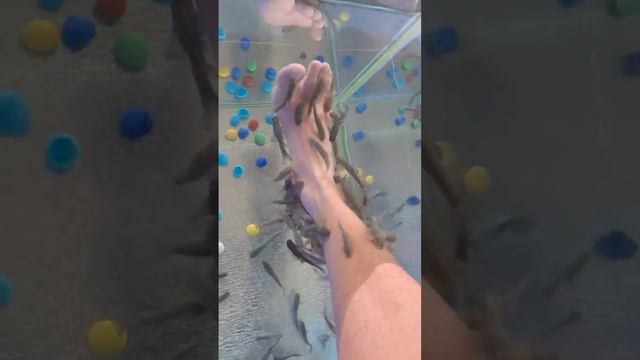 🙌Рыбки 🏖Гарра руфа🐳 Гагра💙 29.09.2023.🐬