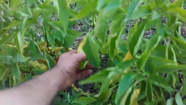 F30e926e5475528618d0f6033093be49