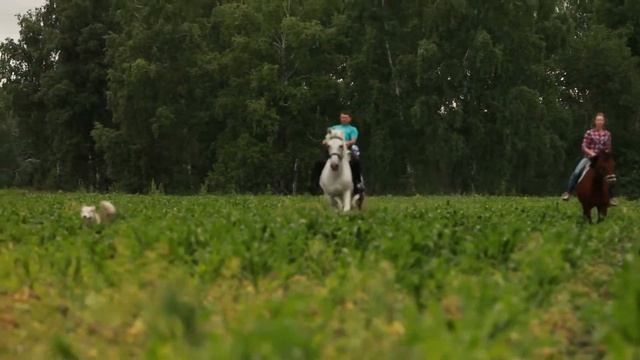 1c80b1c21e16d023635e48de452b8c44