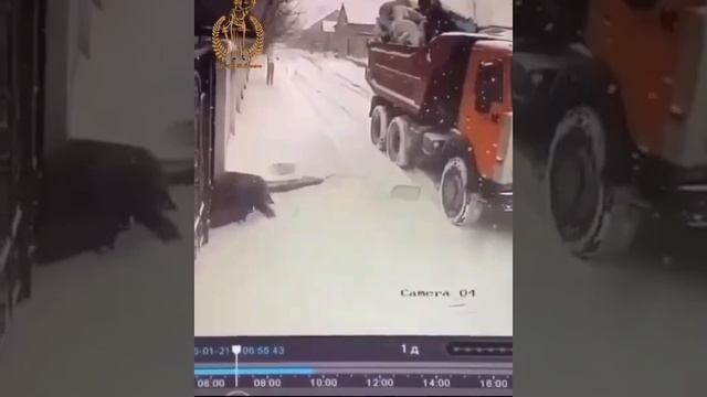 Bf357abd9d25513af579ee5e1b5ca2c4