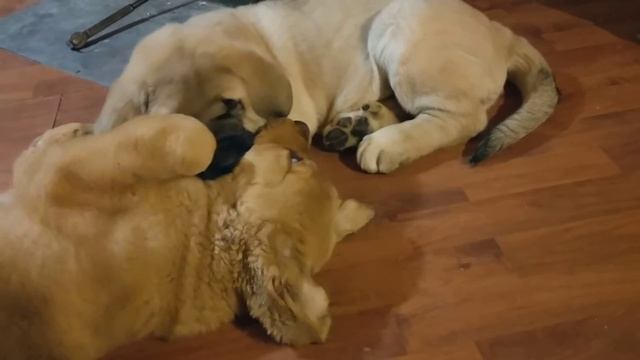 3d1d2cd0f10b97377d4104bff0b6c20d