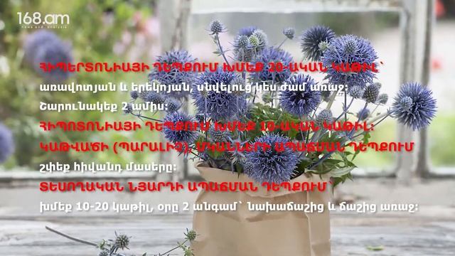 Մեղրատու, բուժիչ ոզնենի։ Դեղատոմսեր