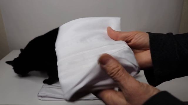 SHILUCHENG       ❤️ Microfiber SUPER Soft   Sheet Set  - Review           ✅