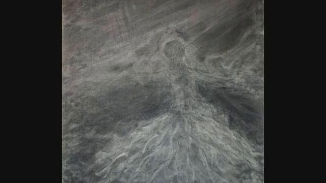 Sibelius - Valzer Triste (direttore S. Celibidache)