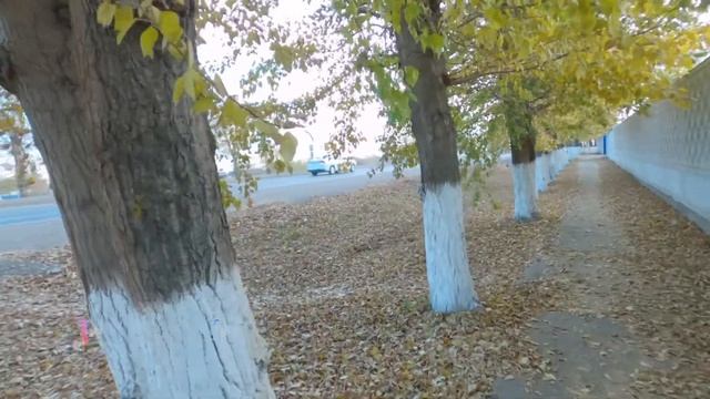 Путешествие автостопом. [Сезон 1, Серия 03] Новое начало.