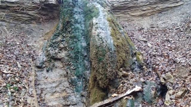 Устье Мишоко