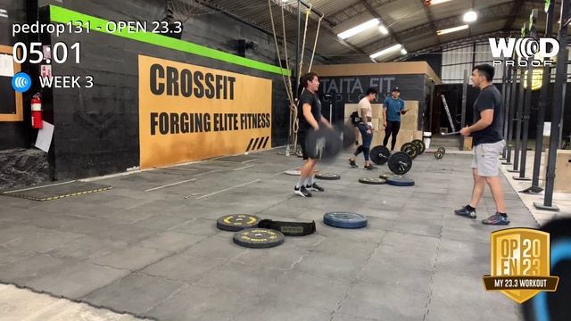 23.3 open crossfit