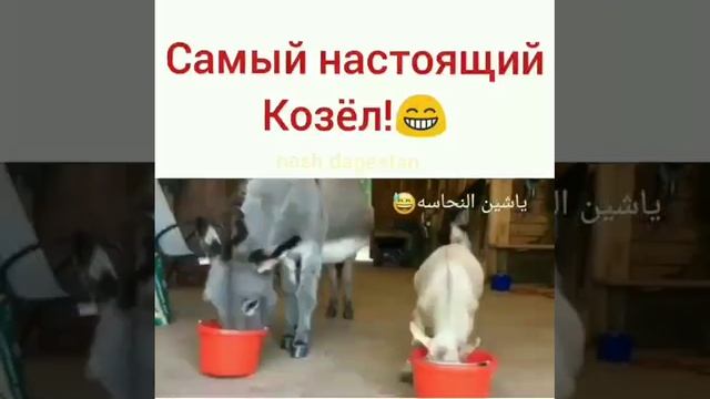 78fa46724bb3cc473da9a01da48069f4