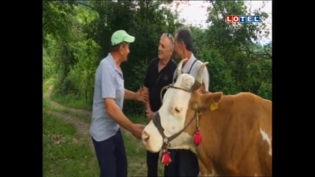 5e76f1546388e5baf790bba006aeb333