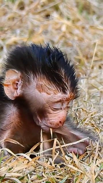 71a5e490d403382bc94d86a0e055132b