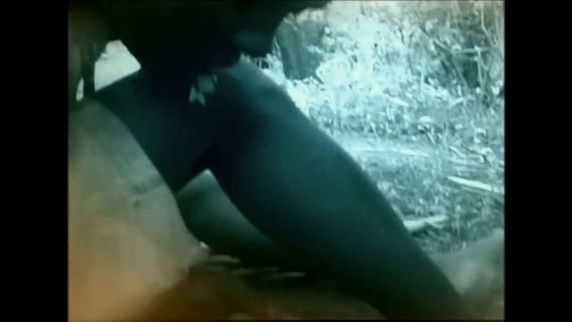 Outcomes Intermediate 6  Greatest Journey