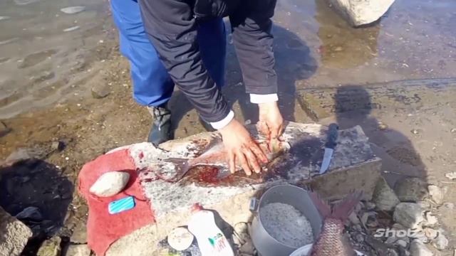 Копчение леща на реке