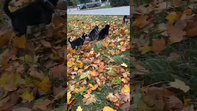 78bbe9a259fa7b3b916d4e157de408e8