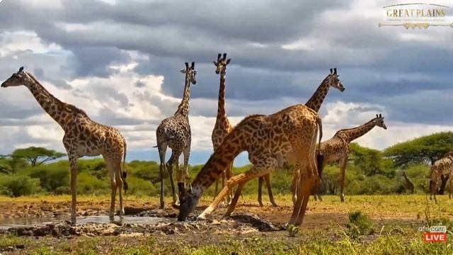 95615dd54cd04412485c8726f109ea5e