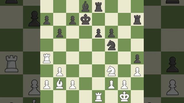 White Andreikin, D., Black Ni Hua,Ruy Lopez Opening: Berlin, Rio Gambit Accepted, 5.Qe2, Event Gove