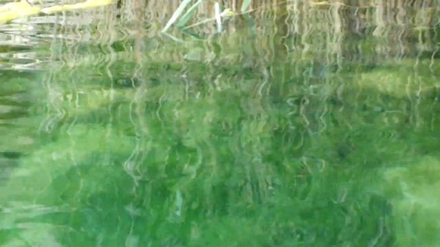 Южный Буг 2018 Михалыч 173