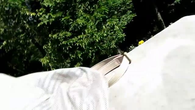 A MOLTING COCKROACH!!!! - 9/15/18