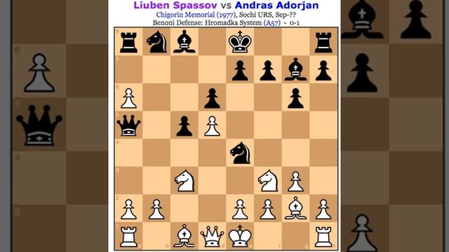 3 победы в бенони