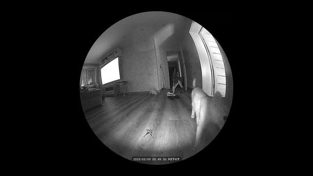 Скрытая камера