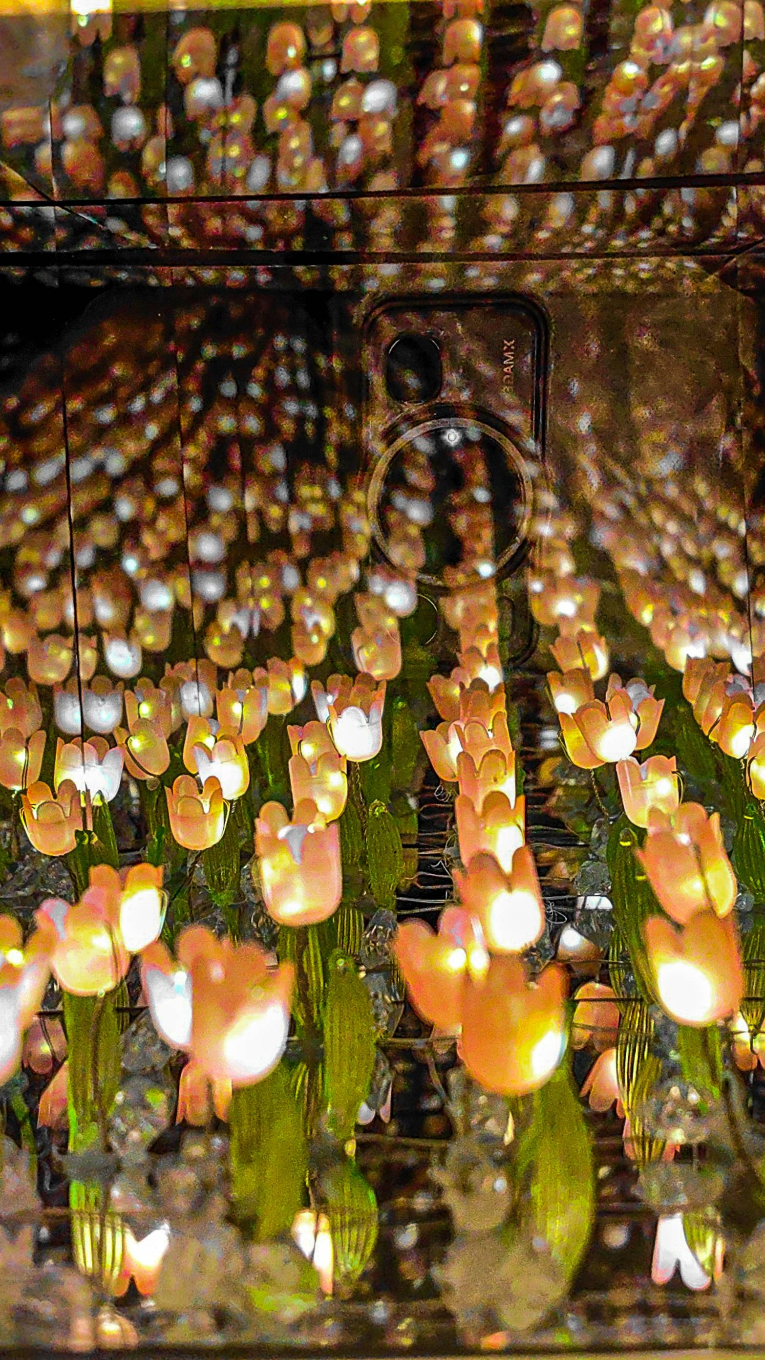 Поле тюльпанов