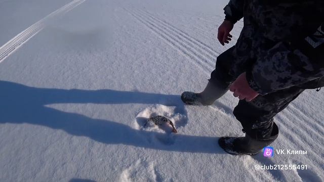 A9cde3901c2fd038f3383b6f26fc13e5