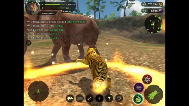 The Tiger Online Simulator #19