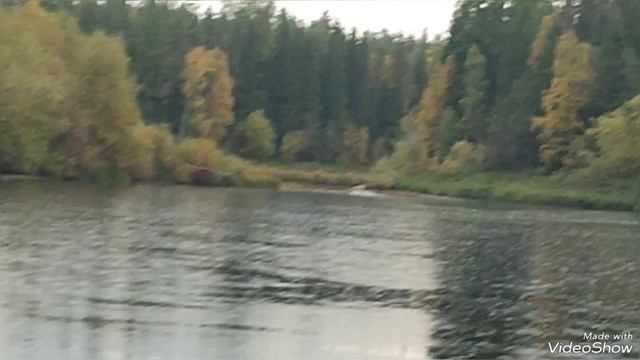 Осень в Р Коми.