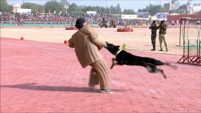 Парад индийских пограничников_ буйство красок и цирковые номера