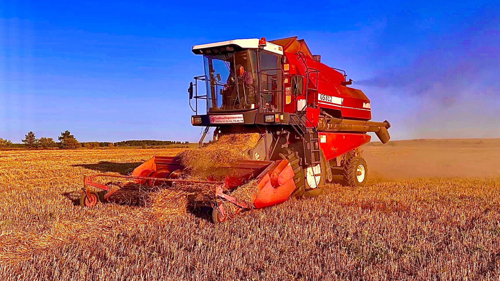 Палессе GS812 Молотим ячмень и пшеницу